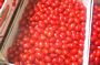 Coeur de Pigeon Tomatoes