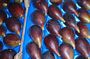 Figs