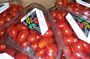Baby Plum Tomatoes