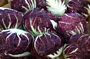 Radicchio