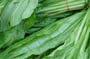 Spinach