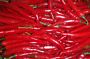 Candela Red Chillis
